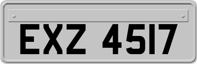 EXZ4517
