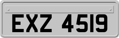 EXZ4519