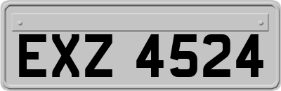 EXZ4524