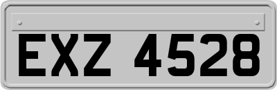 EXZ4528