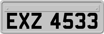 EXZ4533