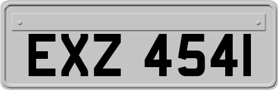 EXZ4541