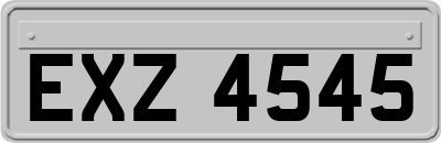 EXZ4545
