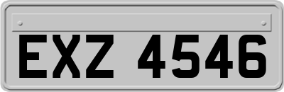 EXZ4546