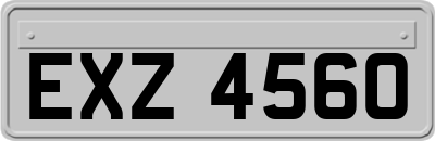 EXZ4560