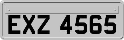 EXZ4565