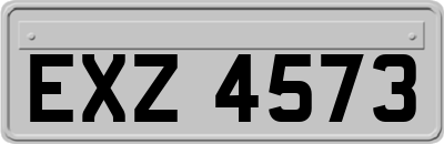 EXZ4573