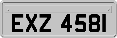 EXZ4581