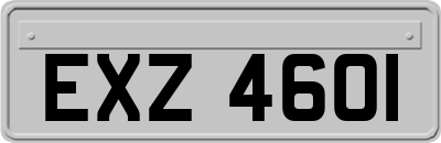 EXZ4601