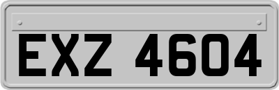 EXZ4604