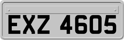 EXZ4605