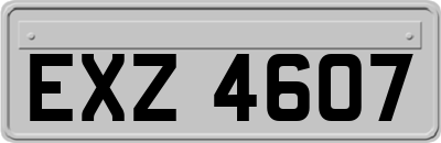 EXZ4607