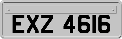 EXZ4616