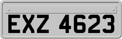 EXZ4623