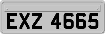 EXZ4665