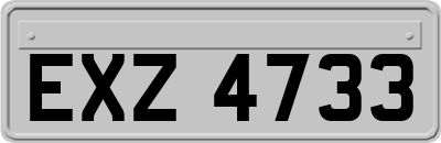 EXZ4733
