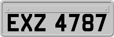 EXZ4787