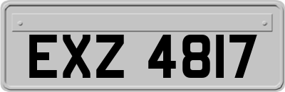 EXZ4817