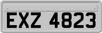 EXZ4823