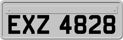 EXZ4828