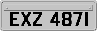 EXZ4871