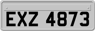 EXZ4873