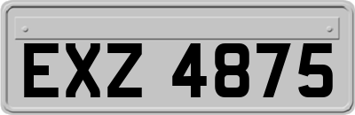 EXZ4875