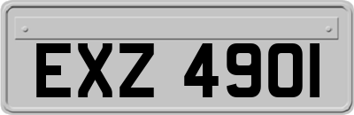 EXZ4901