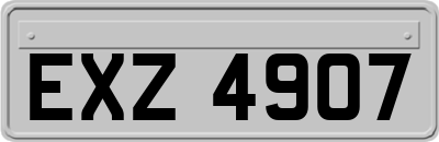 EXZ4907