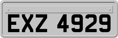 EXZ4929