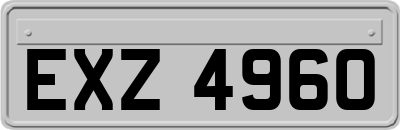 EXZ4960