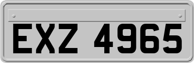 EXZ4965
