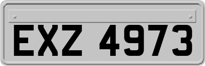 EXZ4973