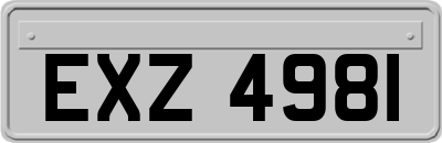 EXZ4981