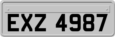 EXZ4987
