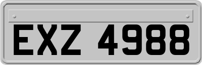 EXZ4988