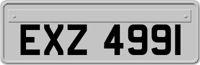 EXZ4991