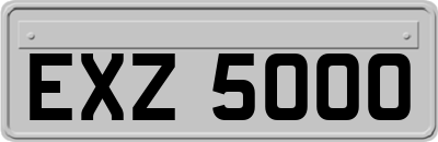 EXZ5000