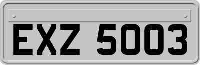 EXZ5003