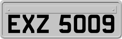 EXZ5009