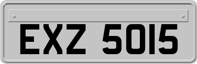 EXZ5015