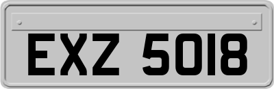 EXZ5018