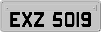 EXZ5019