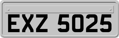 EXZ5025