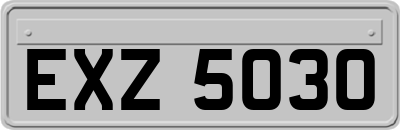 EXZ5030