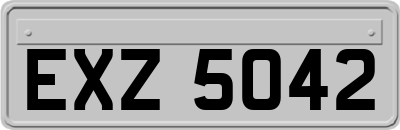 EXZ5042
