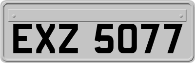 EXZ5077