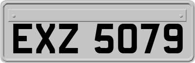 EXZ5079
