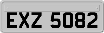 EXZ5082