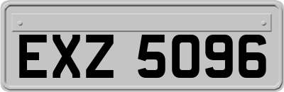 EXZ5096